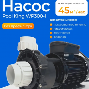 Насос Pool King LX WP300-I без префильтра 45 м3/час для бассейнов и СПА (водопад, противоток, гидромассаж), КНР