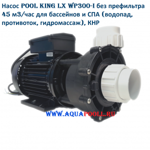 Насос Pool King LX WP300-I без префильтра 45 м3/час для бассейнов и СПА (водопад, противоток, гидромассаж), КНР